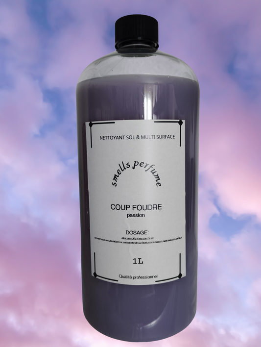 NETTOYANT SOL & TOUTE SURFACE COUP FOUDRE